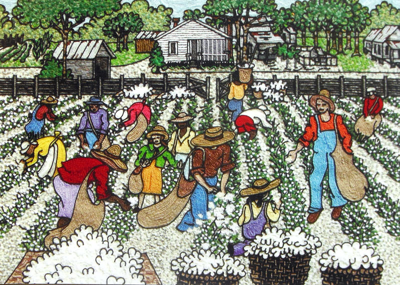 Cotton-Field